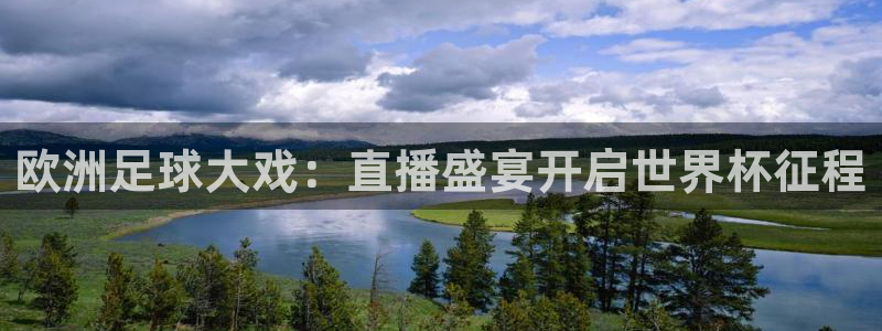 世界杯附加赛赛程表:欧洲足球大戏:直播盛宴开启世界杯征程