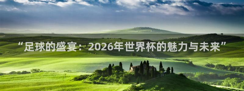 英格兰联赛杯直播:“足球的盛宴:2026年世界杯的魅力与未来”