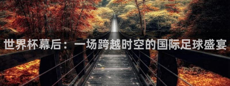 世界杯在线直播:世界杯幕后:一场跨越时空的国际足球盛宴