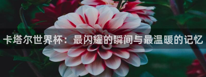 世界杯预选赛:卡塔尔世界杯:最闪耀的瞬间与最温暖的记忆