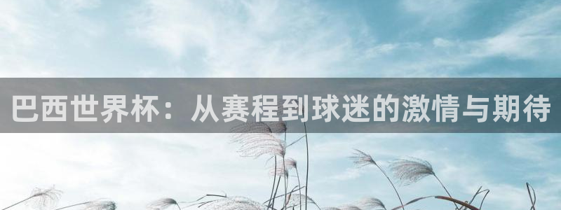 2026世界杯南美区积分榜:巴西世界杯:从赛程到球迷的激情与期待